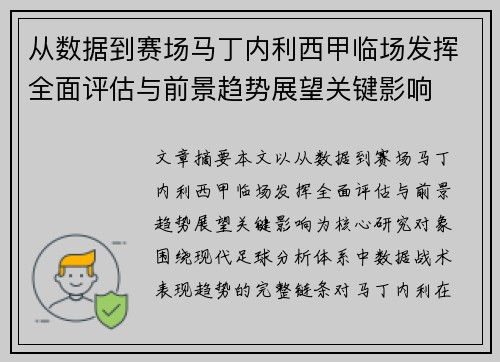 从数据到赛场马丁内利西甲临场发挥全面评估与前景趋势展望关键影响